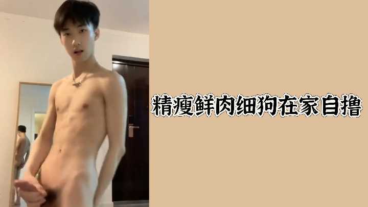 精瘦鲜肉细狗在家自撸}
